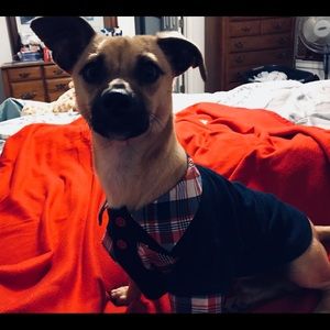 Meet your Posher, Mayra